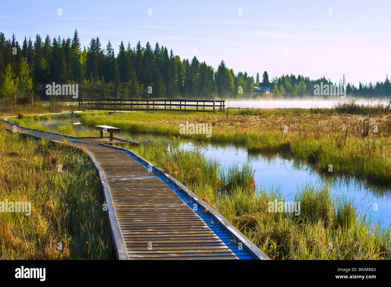 The boardwalk along a marshy area of Maxwell lake Stock Photo