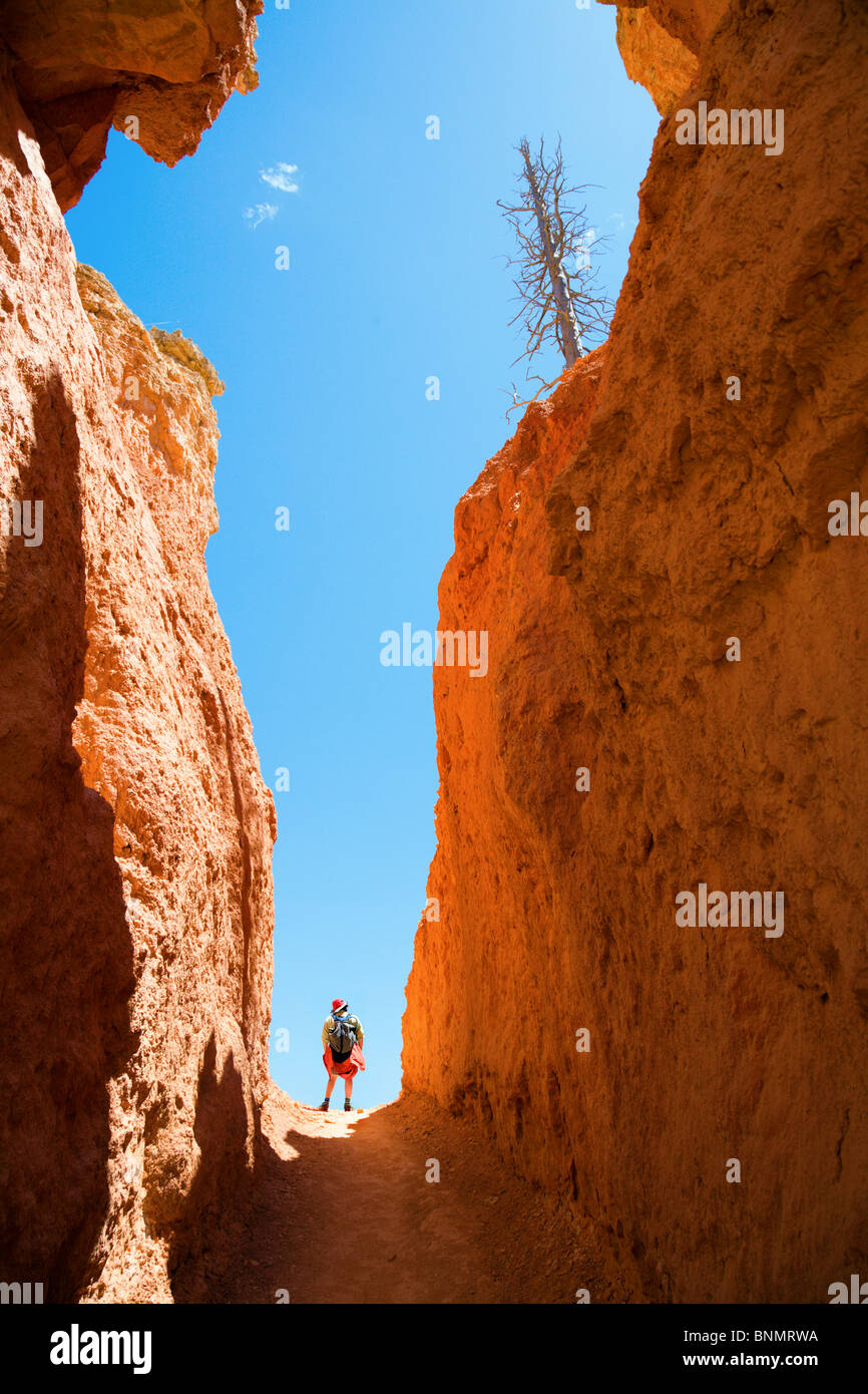 A woman is hiking through Bruce Canyon in Utah Stock Photo