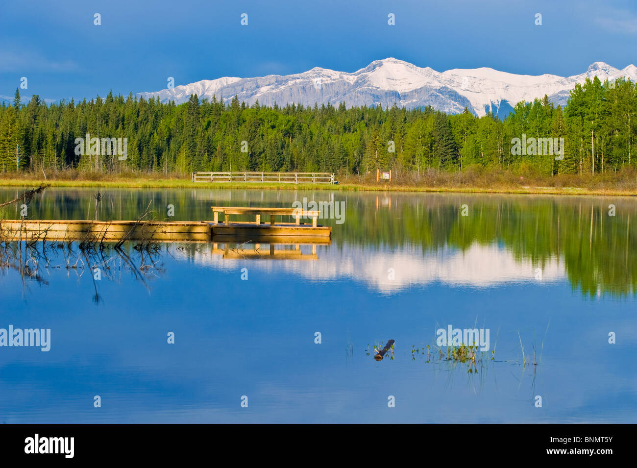 A nature scene of Maxwell lake with a background of rocky mountains in