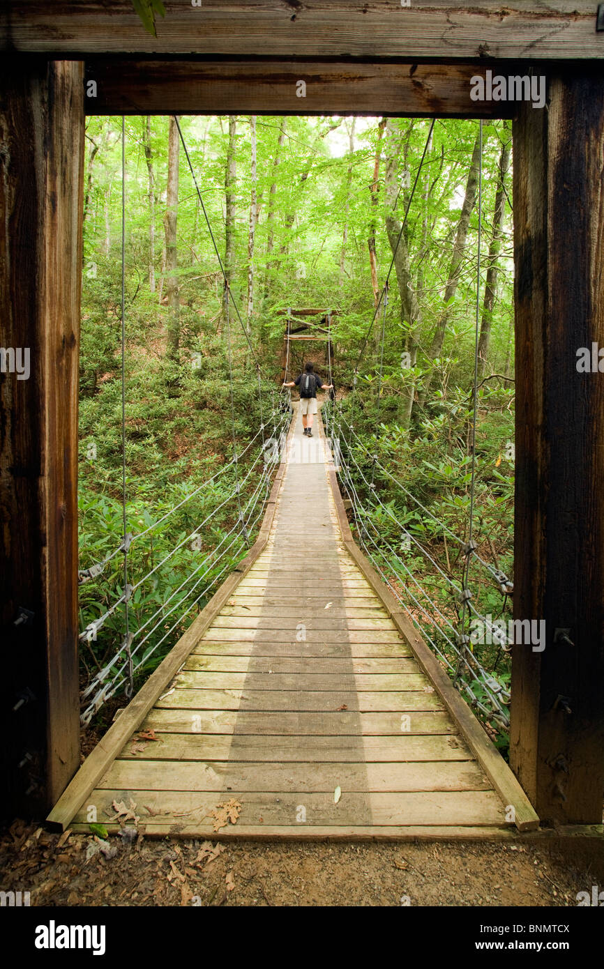 Hiker on Suspension Bridge Andy Cove Trail Pisgah National Forest