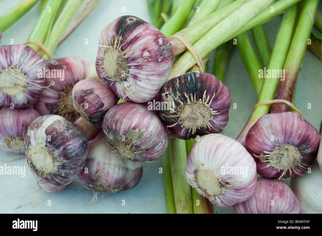Garlic on sales at a farmer's market stall, Issaquah,Washinrton. Stock Photo