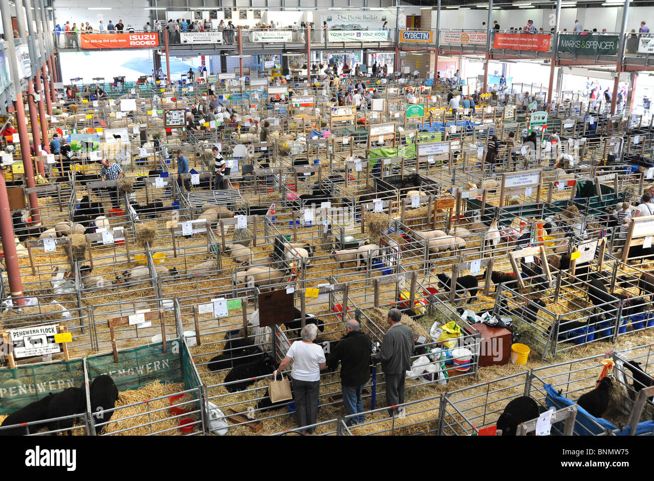 Royal Welsh Show 2010 indoor sheep lines and pens Stock Photo