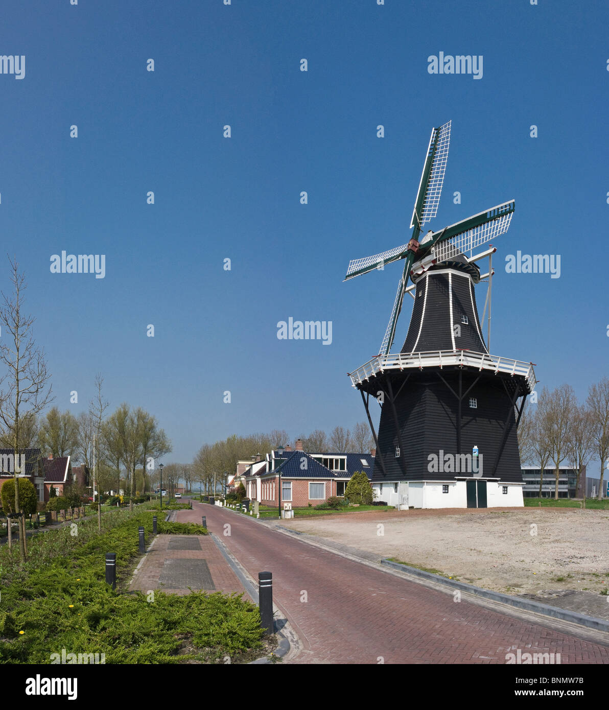 Netherlands Holland Groningen Grijpskerk Windmill Spring panorama Tower mill De Kievit Lapwing Stock Photo