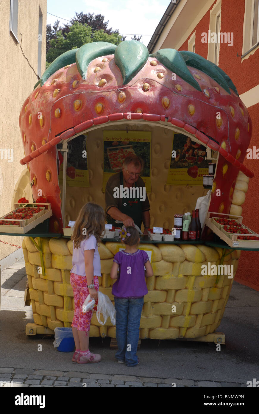 children buying strawberries from a street stall, Murnau am Staffelsee, Garmisch-Partenkirchen, Oberbayern, Bavaria, Germany Stock Photo