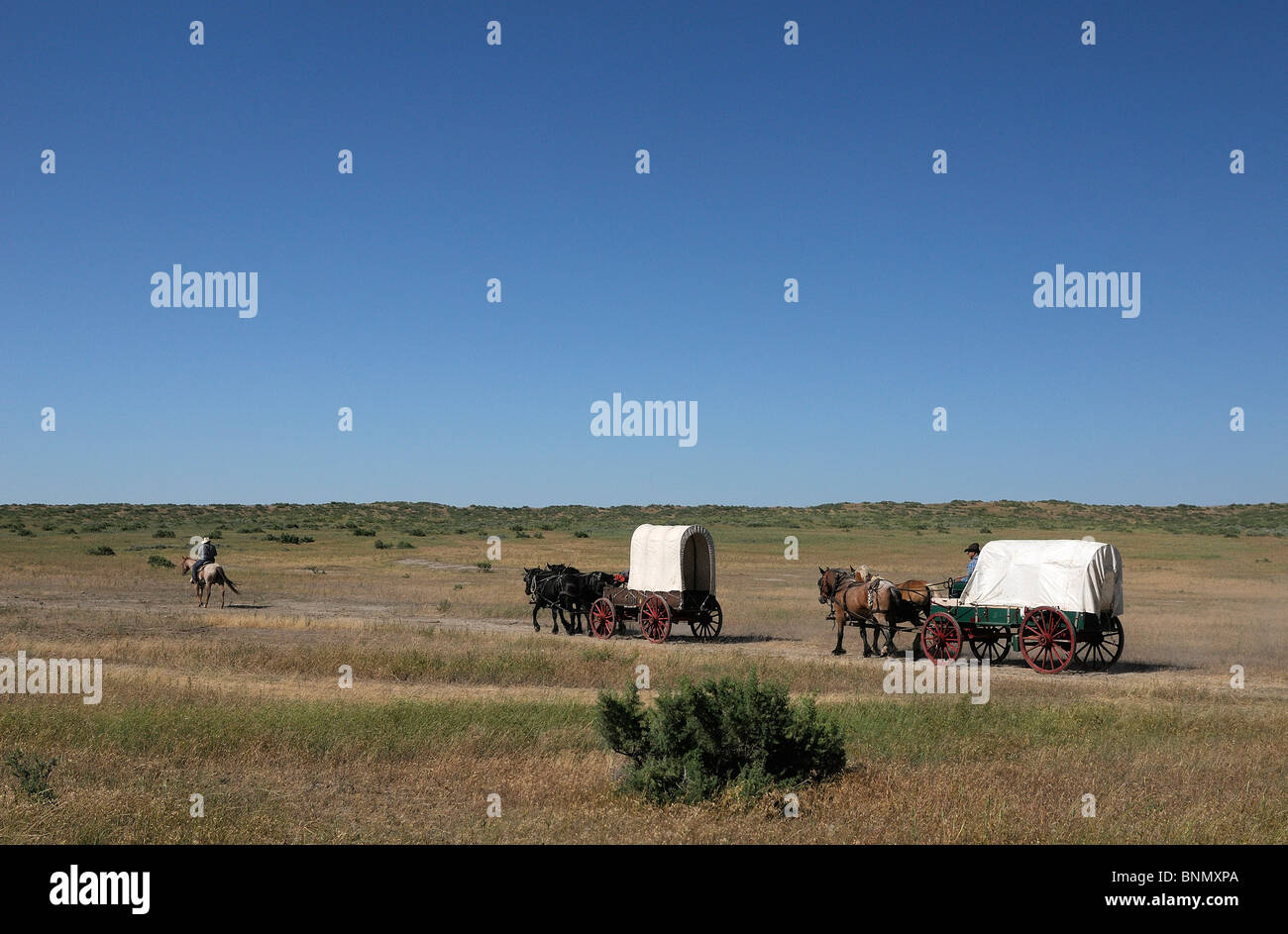 Custer's Last Stand wild west Reenactment no model release Hardin Montana USA covered wagon Stock Photo