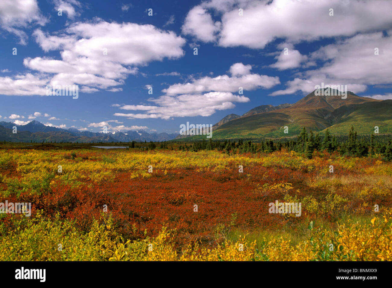 Chugach & Talkeetna Mtn Ranges SC AK Fall /nGunsight Mtn Stock Photo Alamy