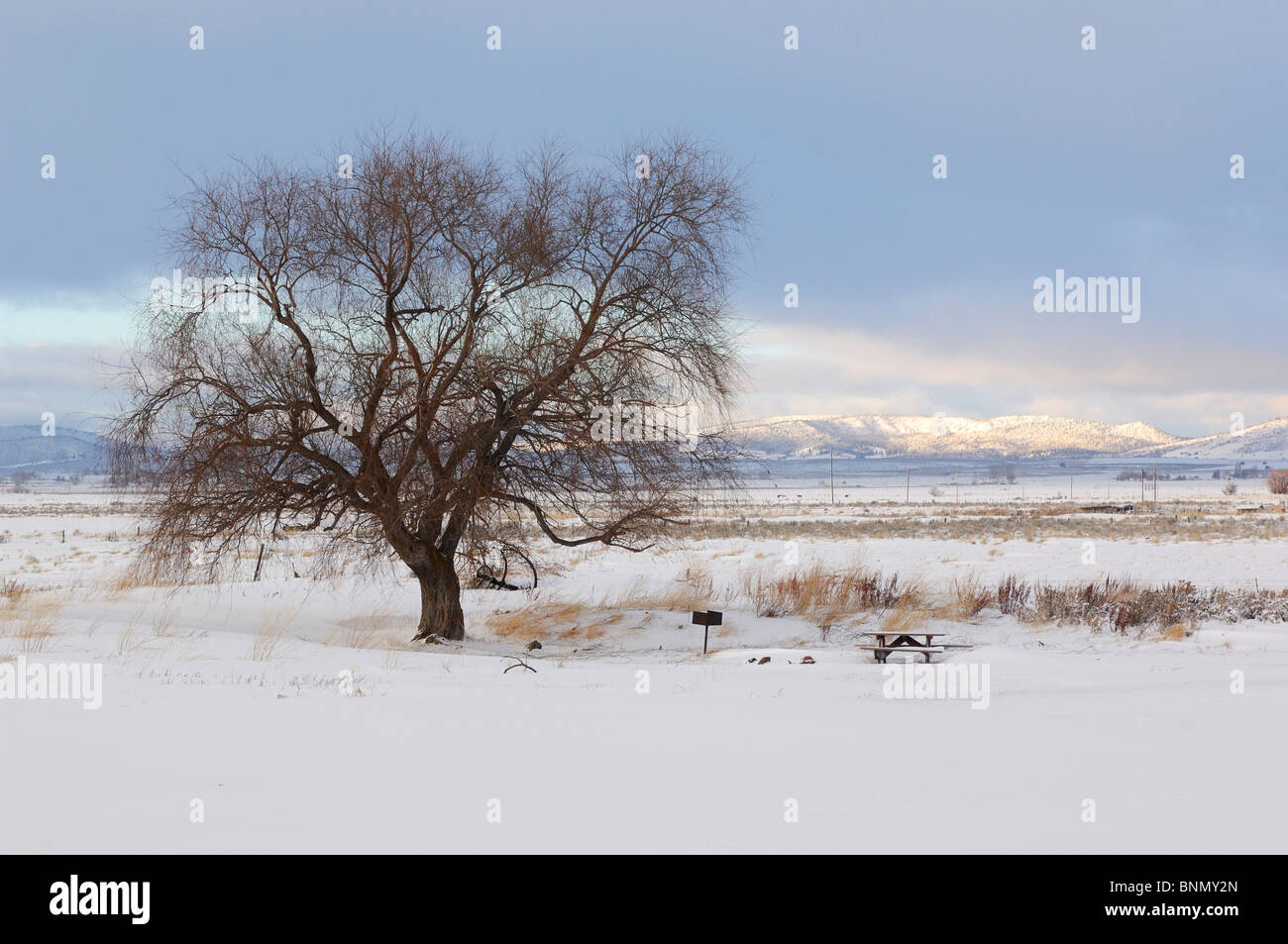 Lakeview oregon hi-res stock photography and images - Alamy