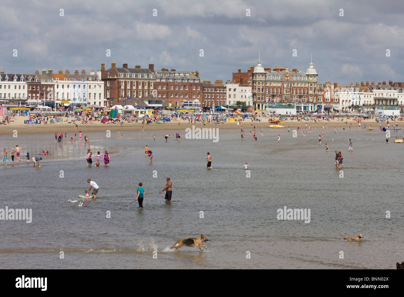 weymouth beach dorset england uk gb Stock Photo Alamy