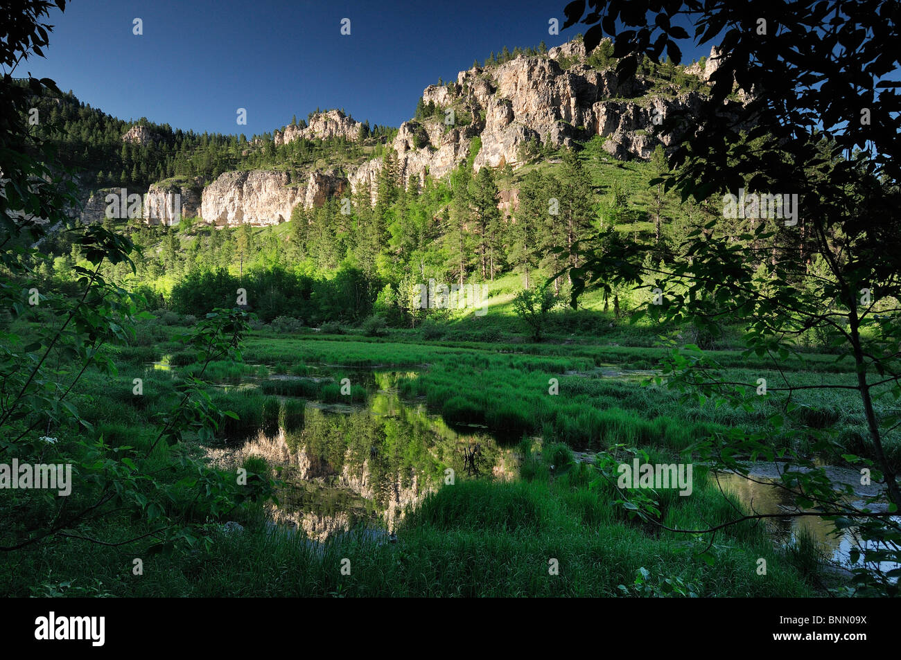 Little Spearfish Intake Creek Black Hills Spearfish South Dakota USA lake Stock Photo Alamy