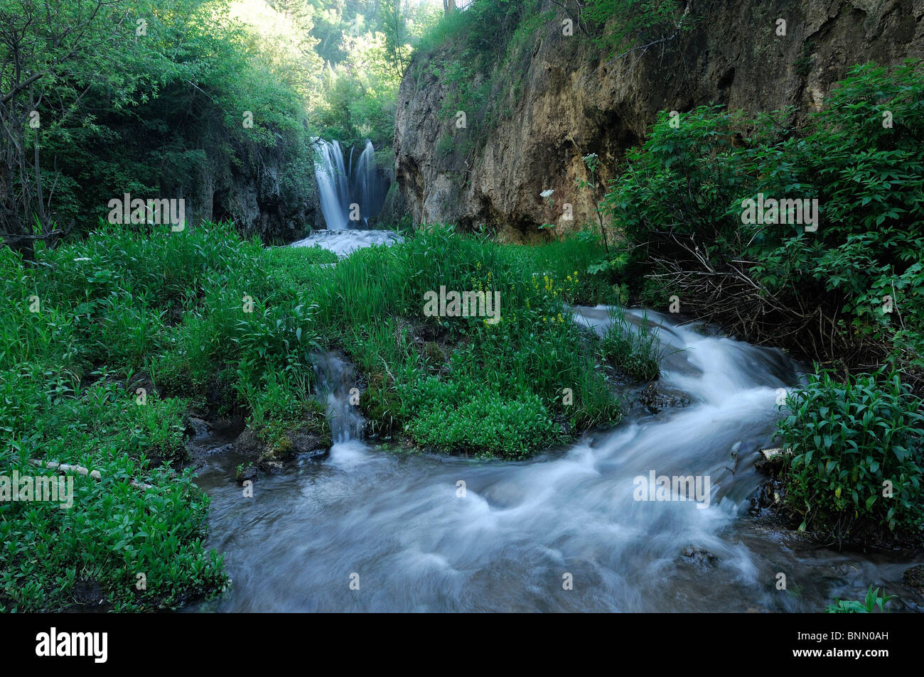 Roughlock Waterfalls Black Hills Spearfish South Dakota USA water