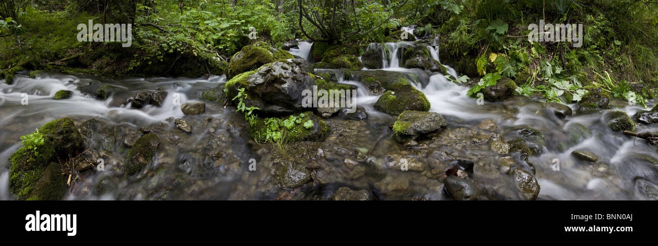 Falls Creek framed by green vegitation in Alaska during Summer Stock Photo