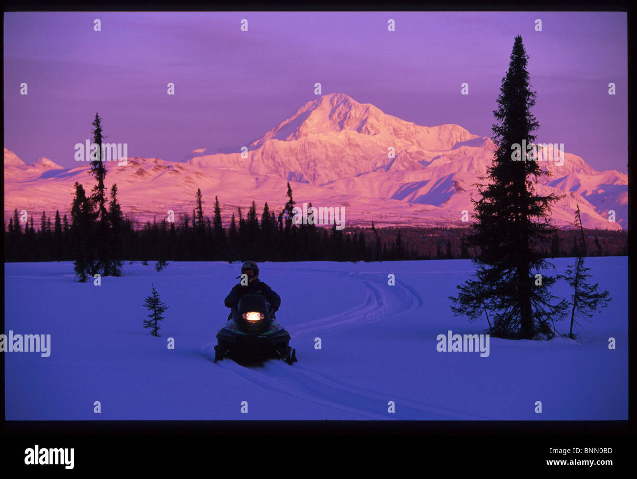 Snowmobiling Mt McKinley Southcentral AK winter scenic Stock Photo Alamy