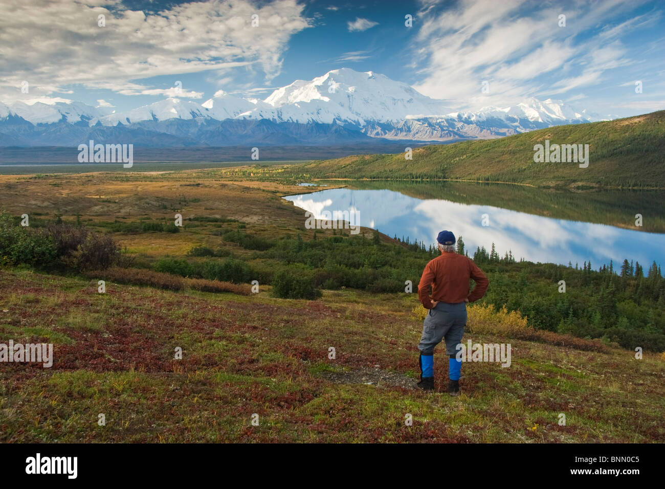 Mature male hiker views Mt. McKinley and the Alaska Range with Wonder Lake in the foreground, Denali National Park, Alaska Stock Photo