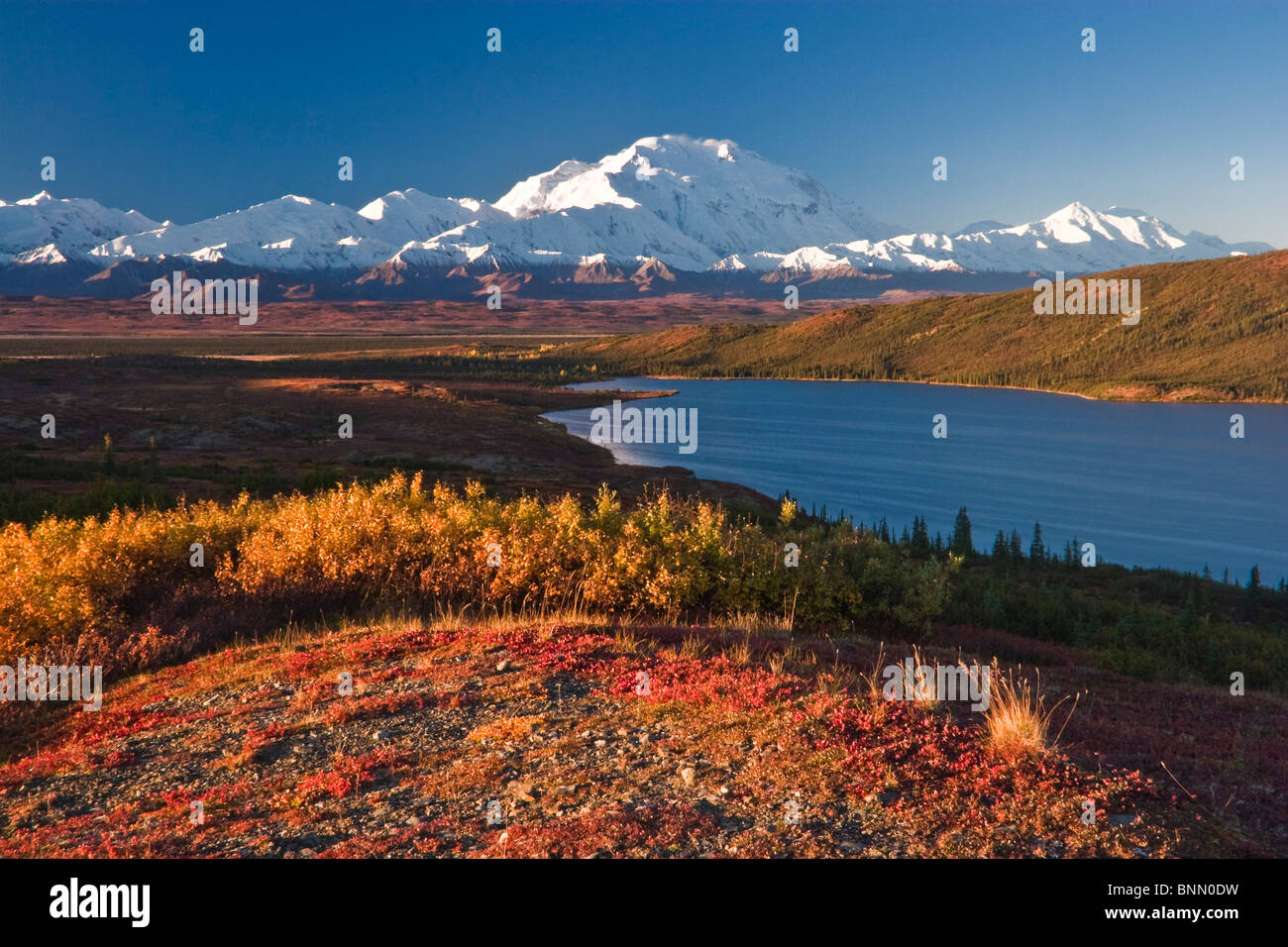 Scenic view of Mt. McKinley and Wonder Lake, Denali National Park, Alaska, Autumn Stock Photo