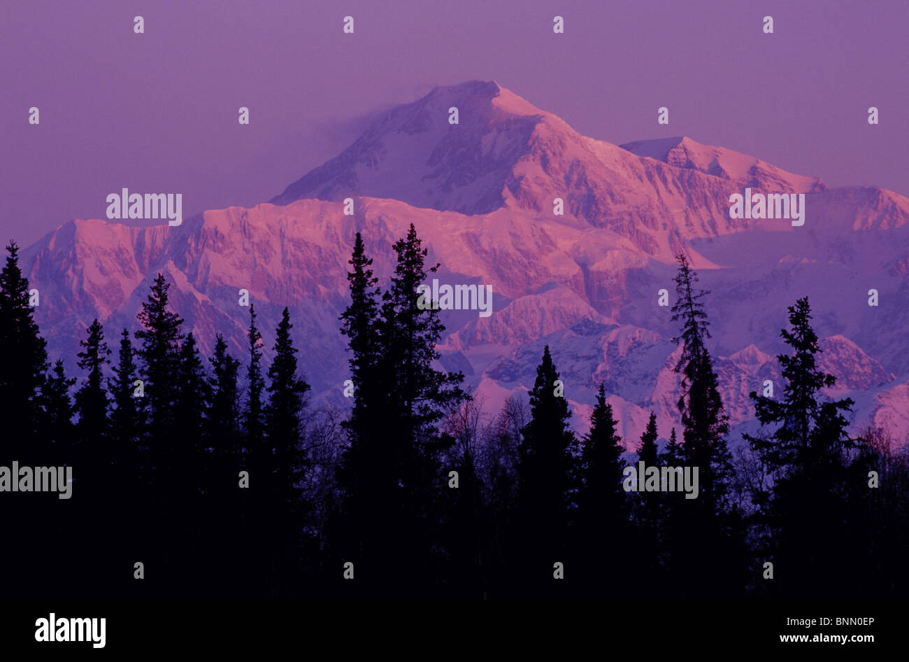 Southside Mt.Mckinley at Sunrise Alaska Stock Photo - Alamy