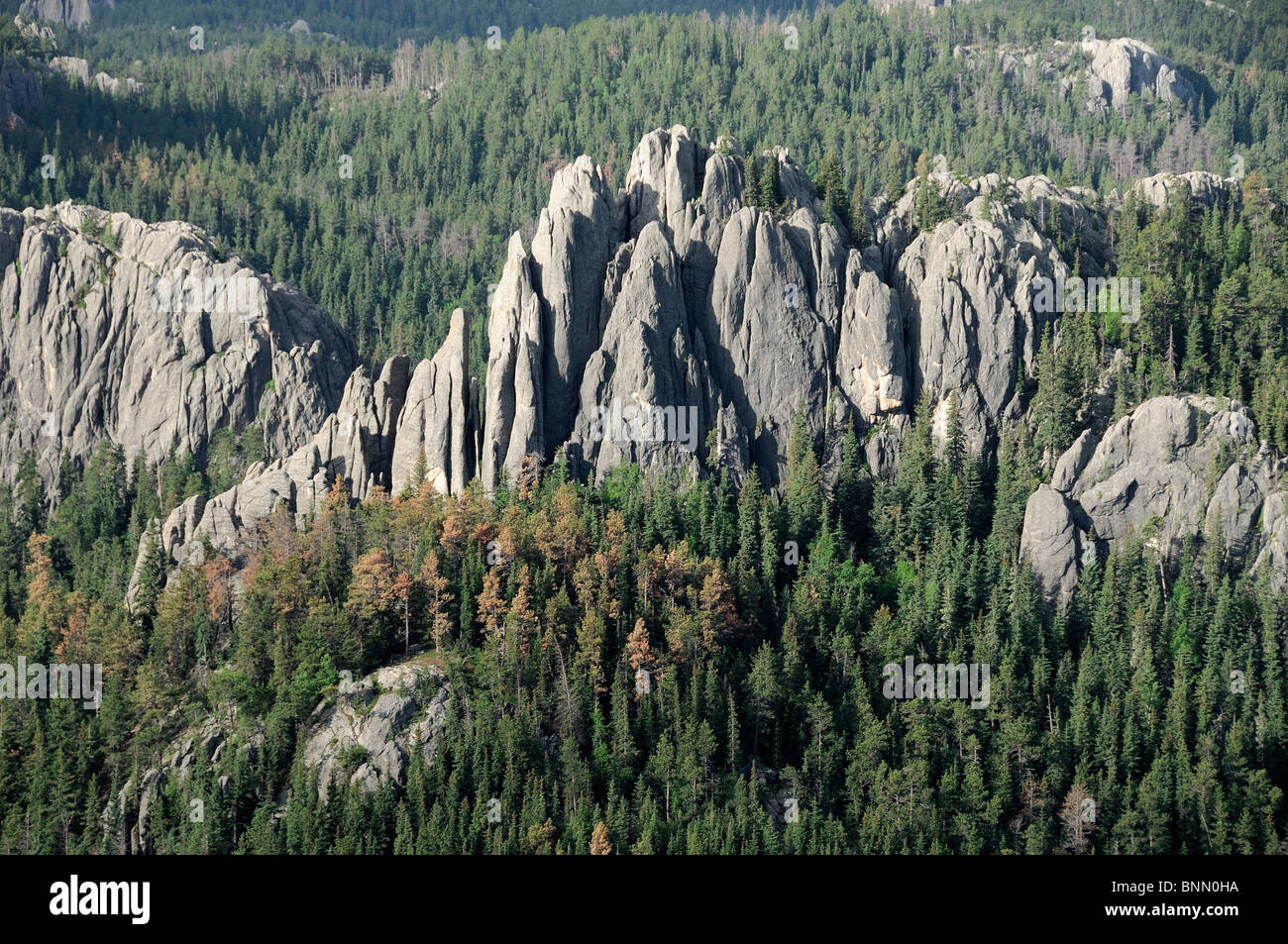 View Harney Peak Custer State Park Black Hills South Dakota Usa Forest Rocks Stock Photo Alamy