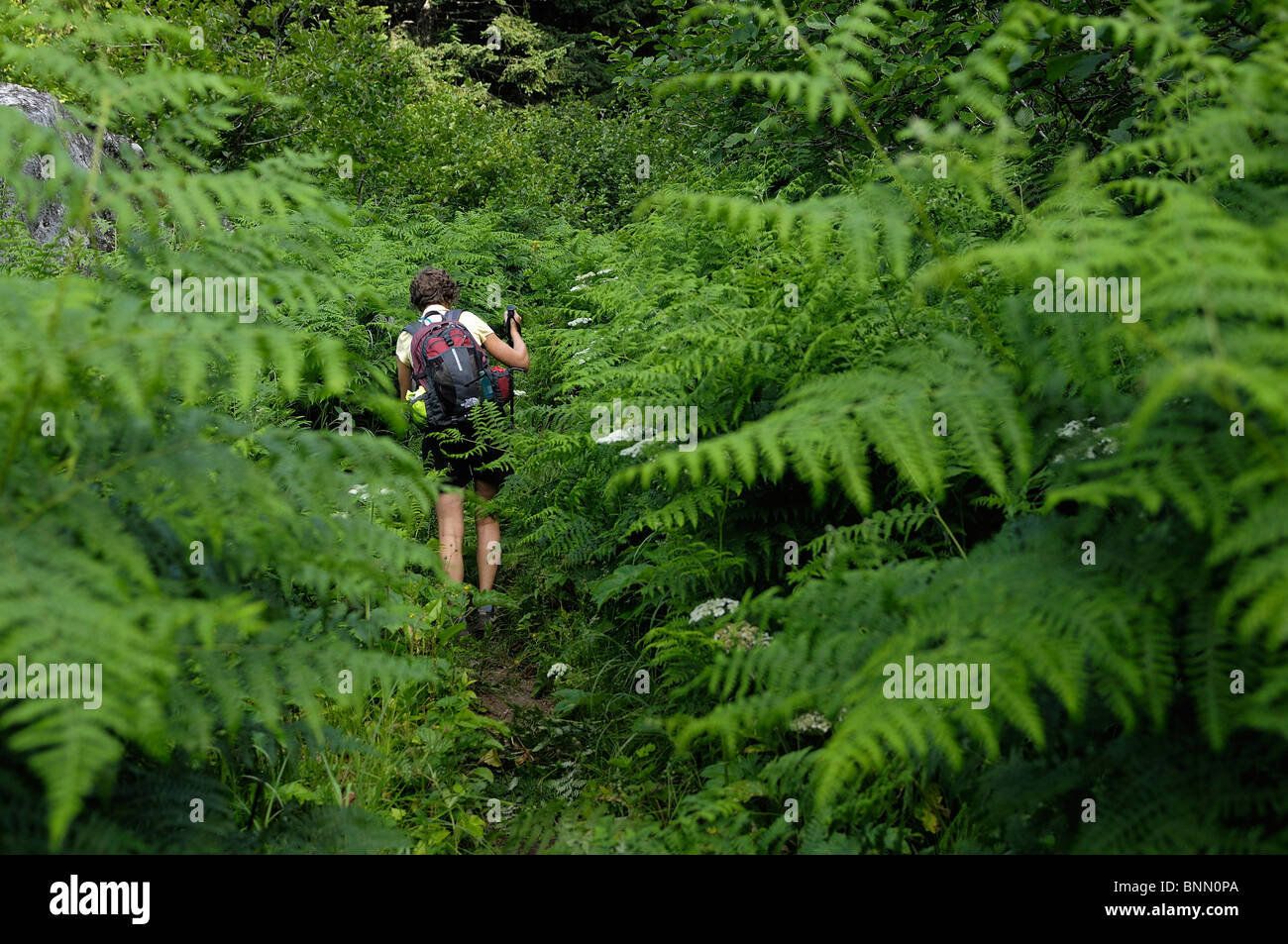 Hiker Lookout Mountain Trail Mt. Baker Snoqualmie National Forest Marblemount North Cascades