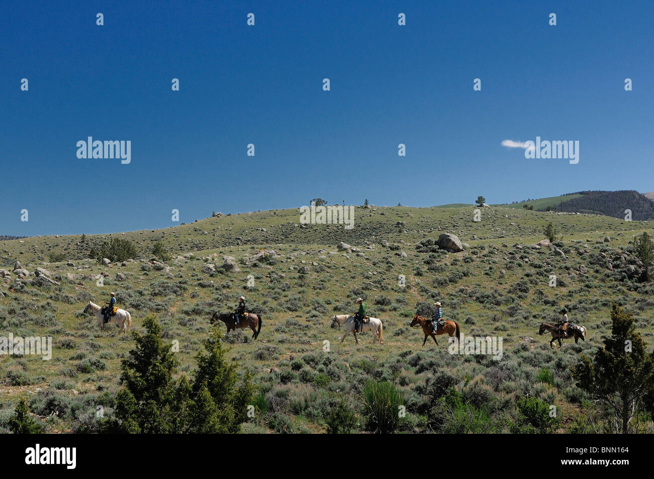 Horseback horses riders sage brush landscape Dubois Wyoming USA Stock Photo