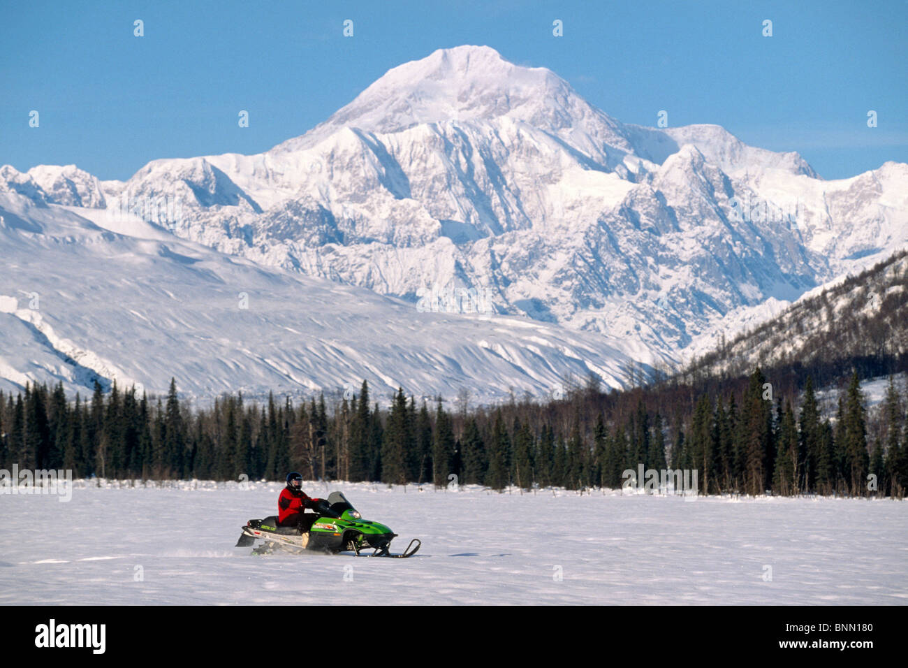 Extreme Snowmobiler Petersvill Southcentral AK/nIn Front of McKinley Stock Photo