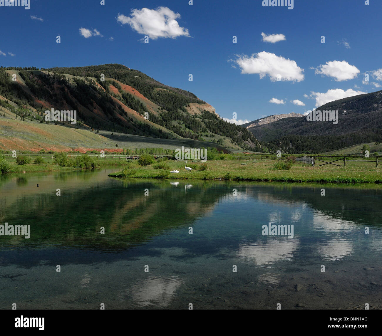 Pond water lake Red Rock Ranch Guest Ranch Kelly Wyoming USA Stock Photo