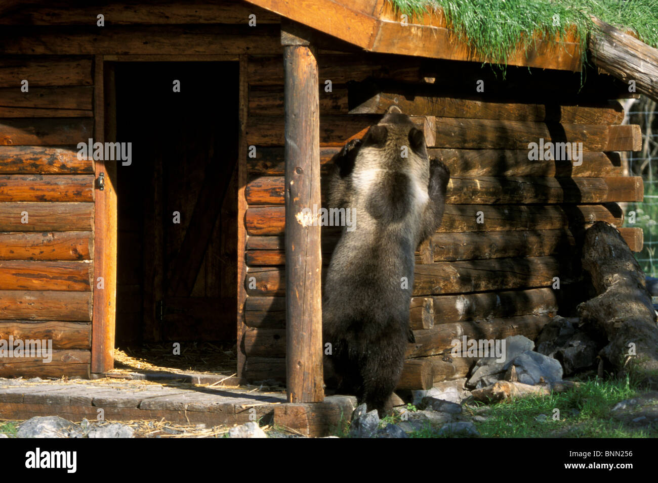 Nbig hi-res stock photography and images - Alamy