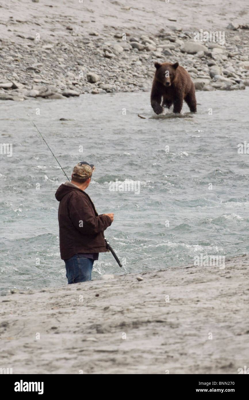 A fisherman ties on a lure while keeping an eye on an approaching Brown bear, Bird Creek, Alaska Stock Photo