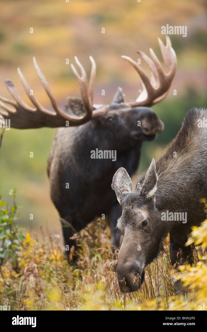 Moose Pass Alaska