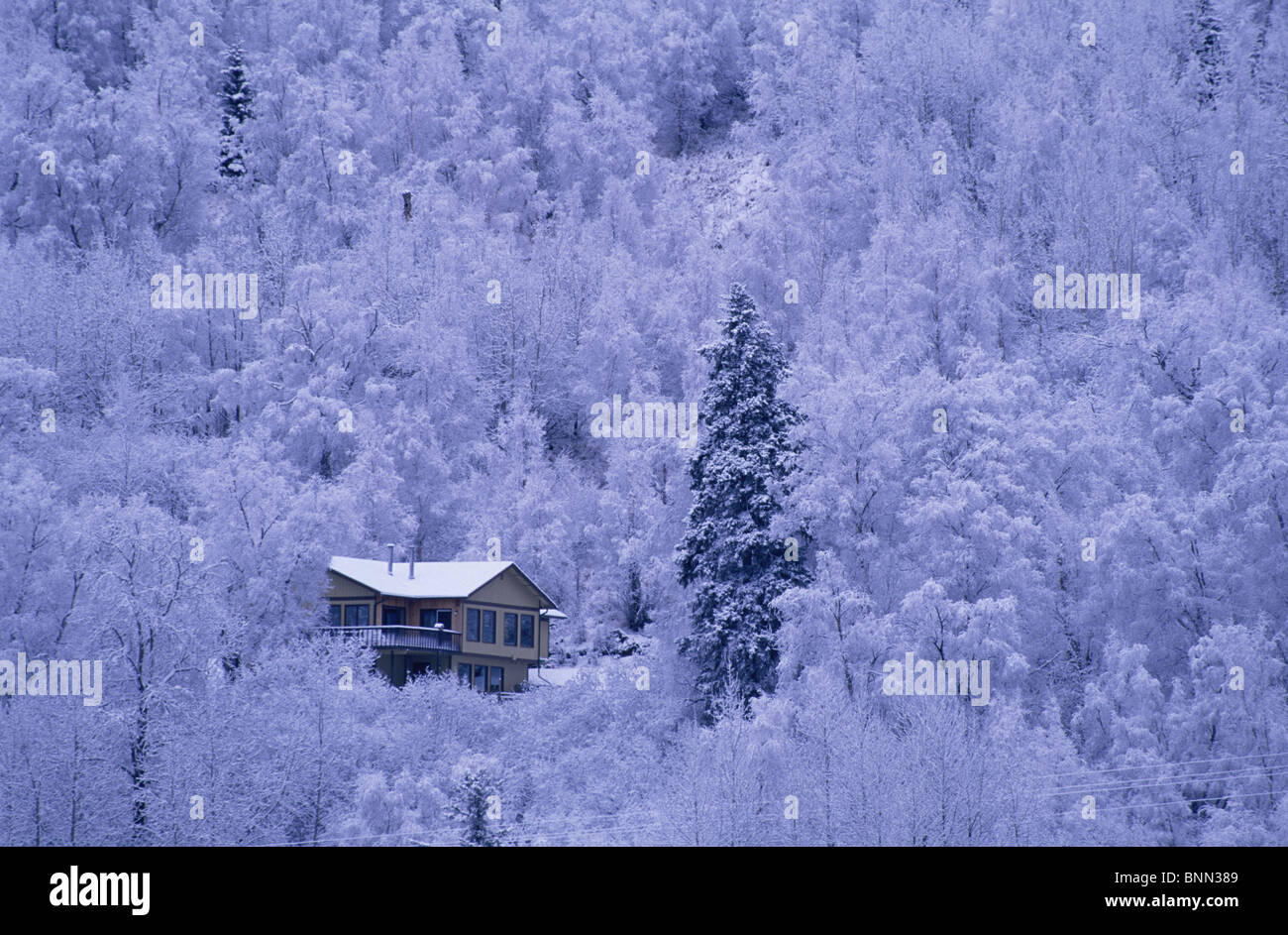 Home on Hillside Frosted Trees Anchorage Winter Stock Photo Alamy