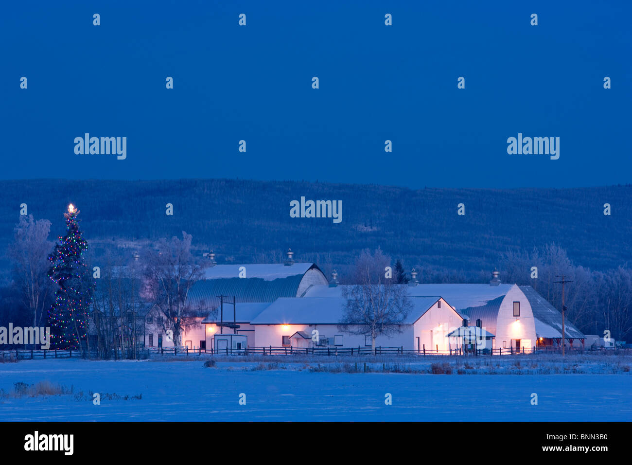 Twilight view of Creamers field and barn decorated for the Christmas Holidays during Winter, Fairbanks, Alaska Stock Photo