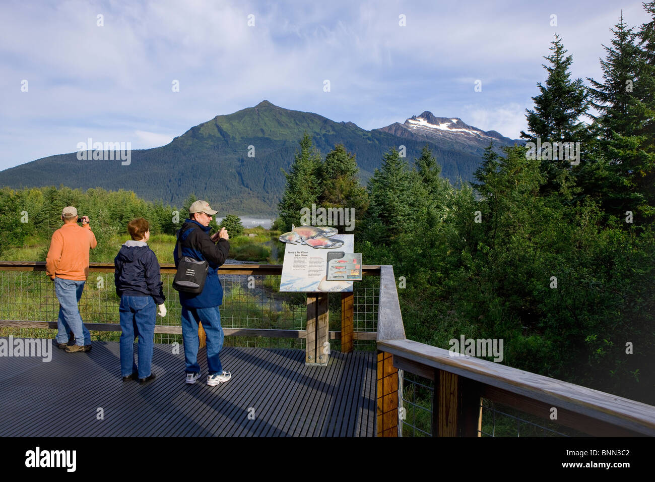 Visitors view a display explaining the life cycle of salmon that return to spawn in Steep Creek, Mendenhall Lake, Alaska Stock Photo