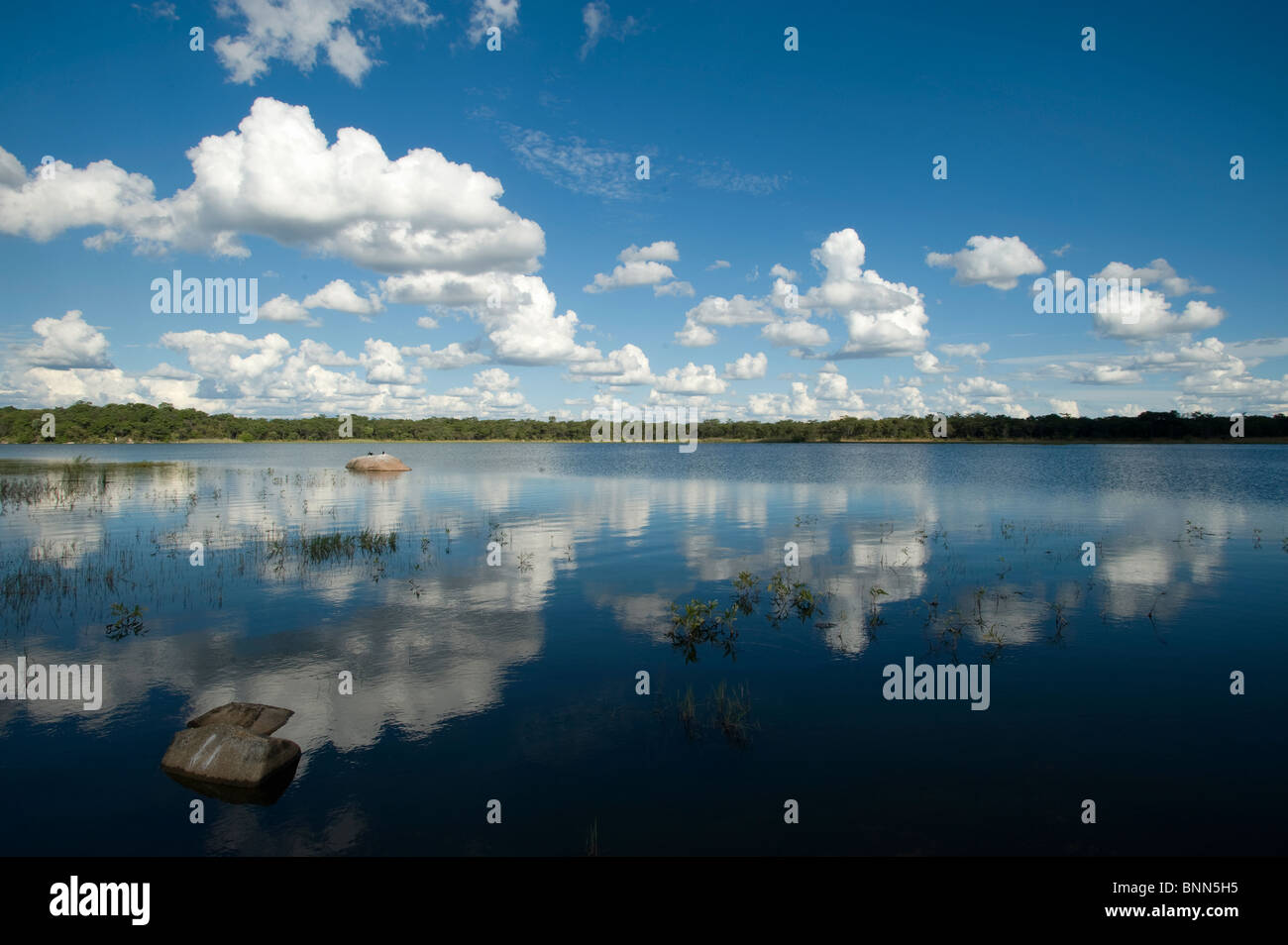Ngezi hires stock photography and images Alamy