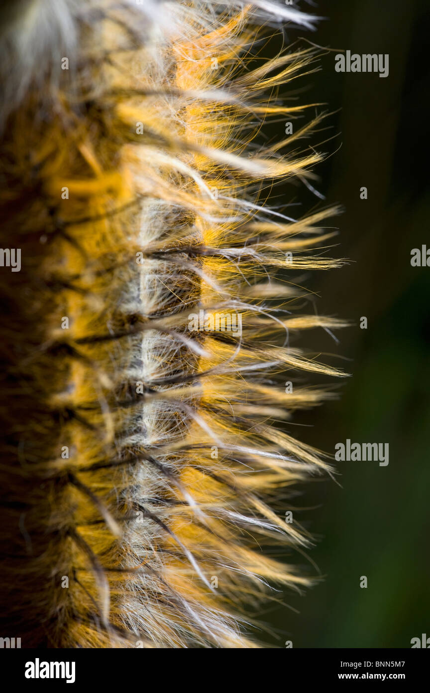 Ngezi National Park Stock Photo Alamy