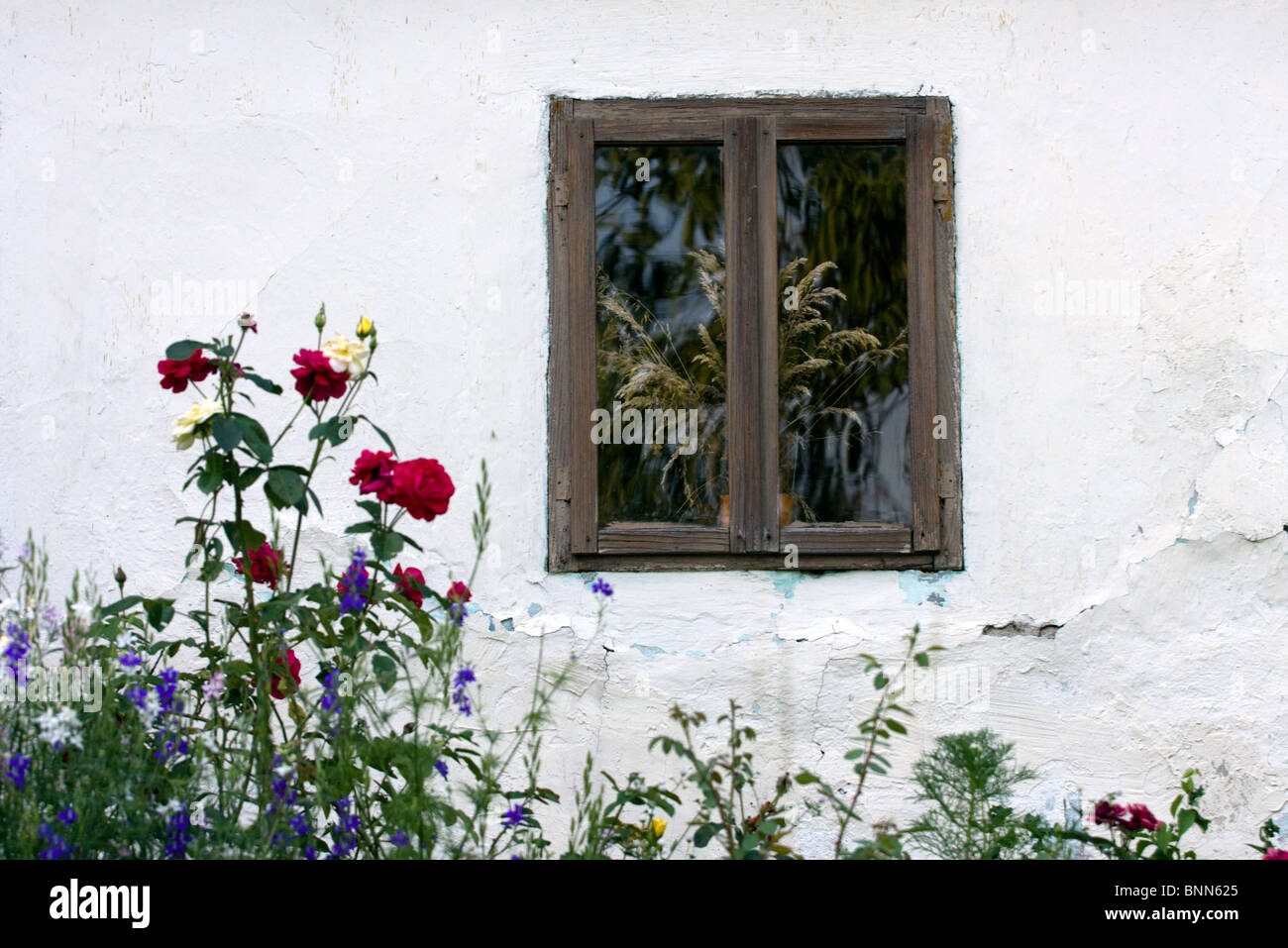 Window on the old house with some flowers infront Stock Photo - Alamy