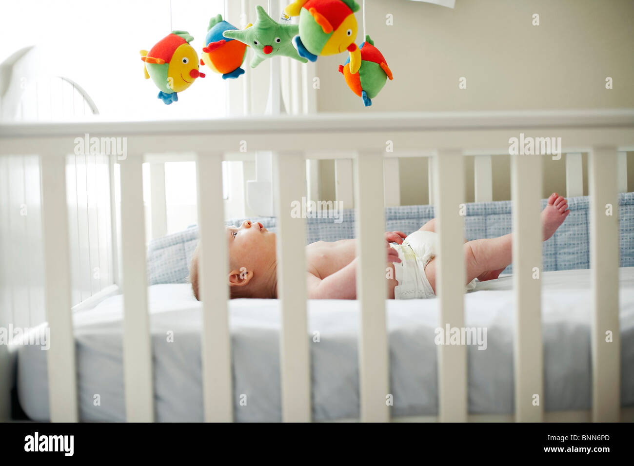 Baby boy cots Clearance