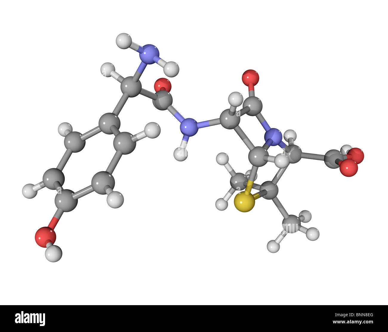 Amoxicillin antibiotic drug molecule Stock Photo Alamy