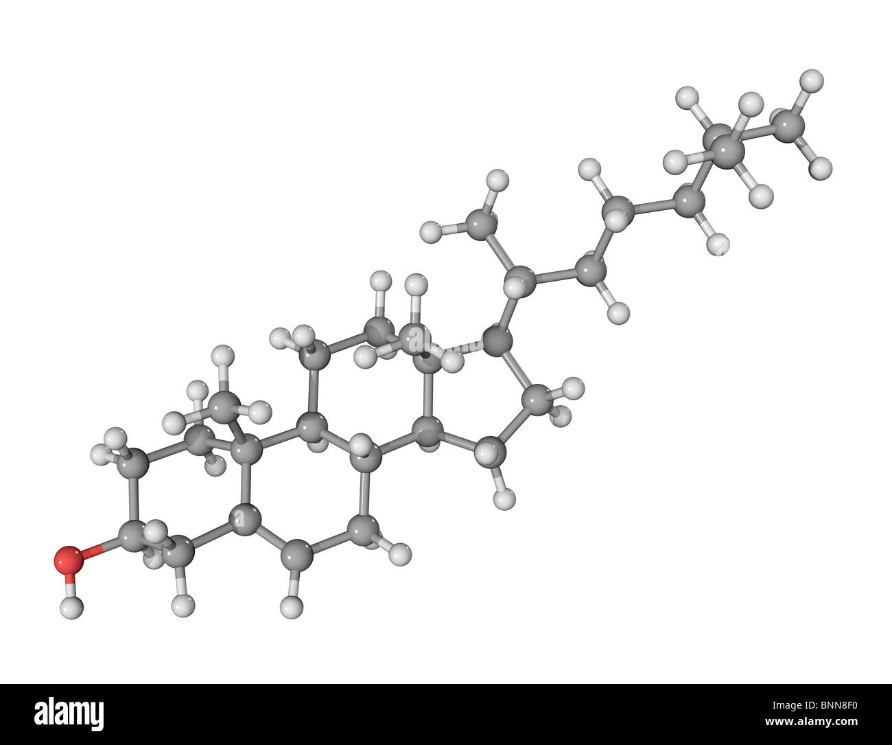 Cholesterol, molecular model Stock Photo Alamy