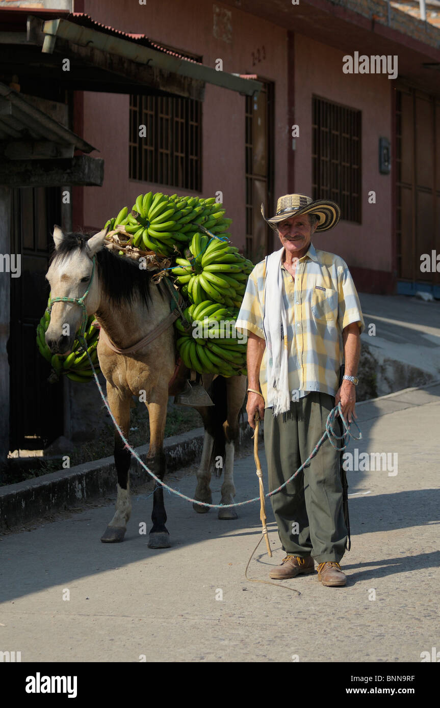 Man bananas Horseback horse man working market San Agustin Department Huila Colombia South America Stock Photo