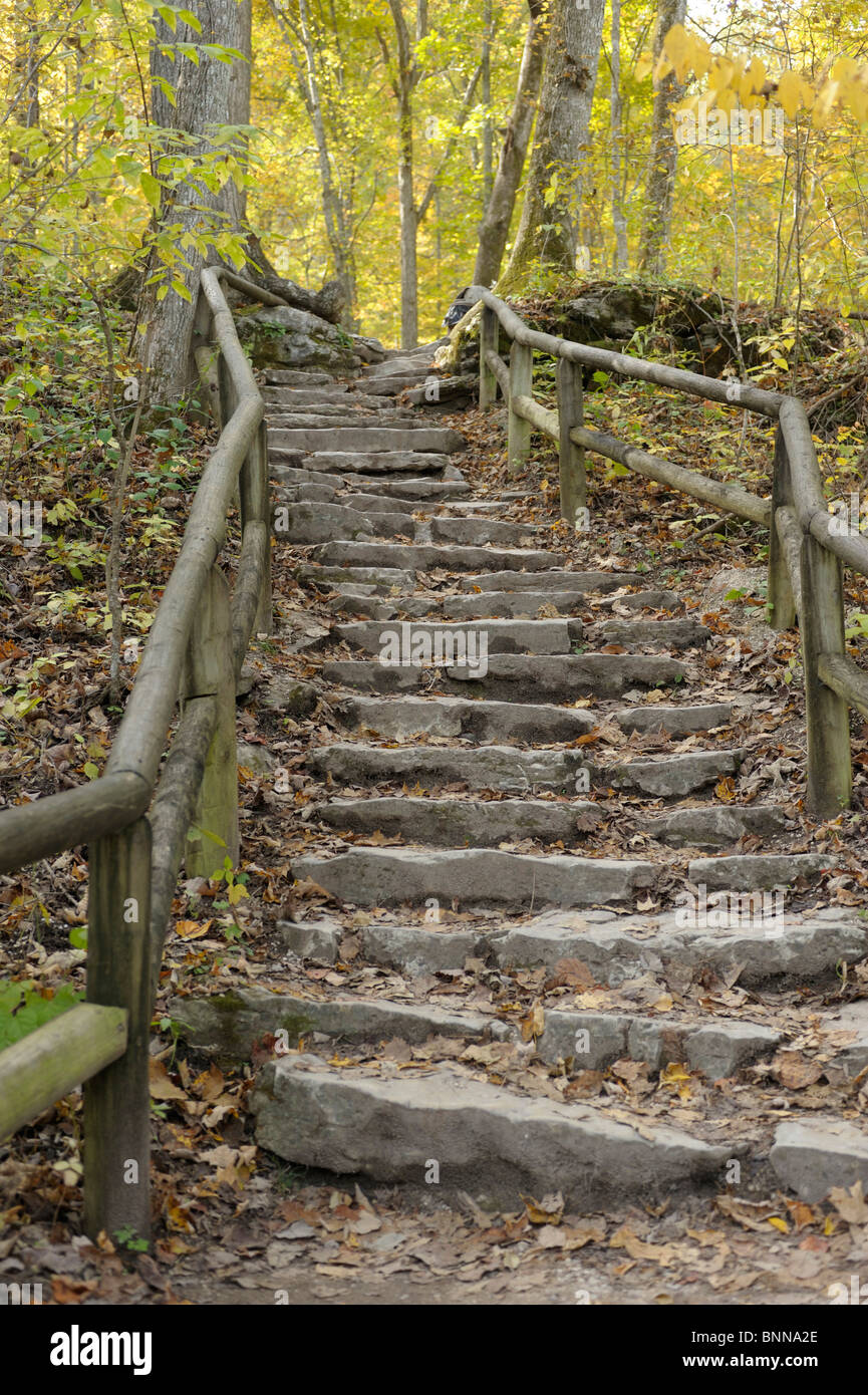Trail Natural Bridge State Resort Park Kentucky USA America United