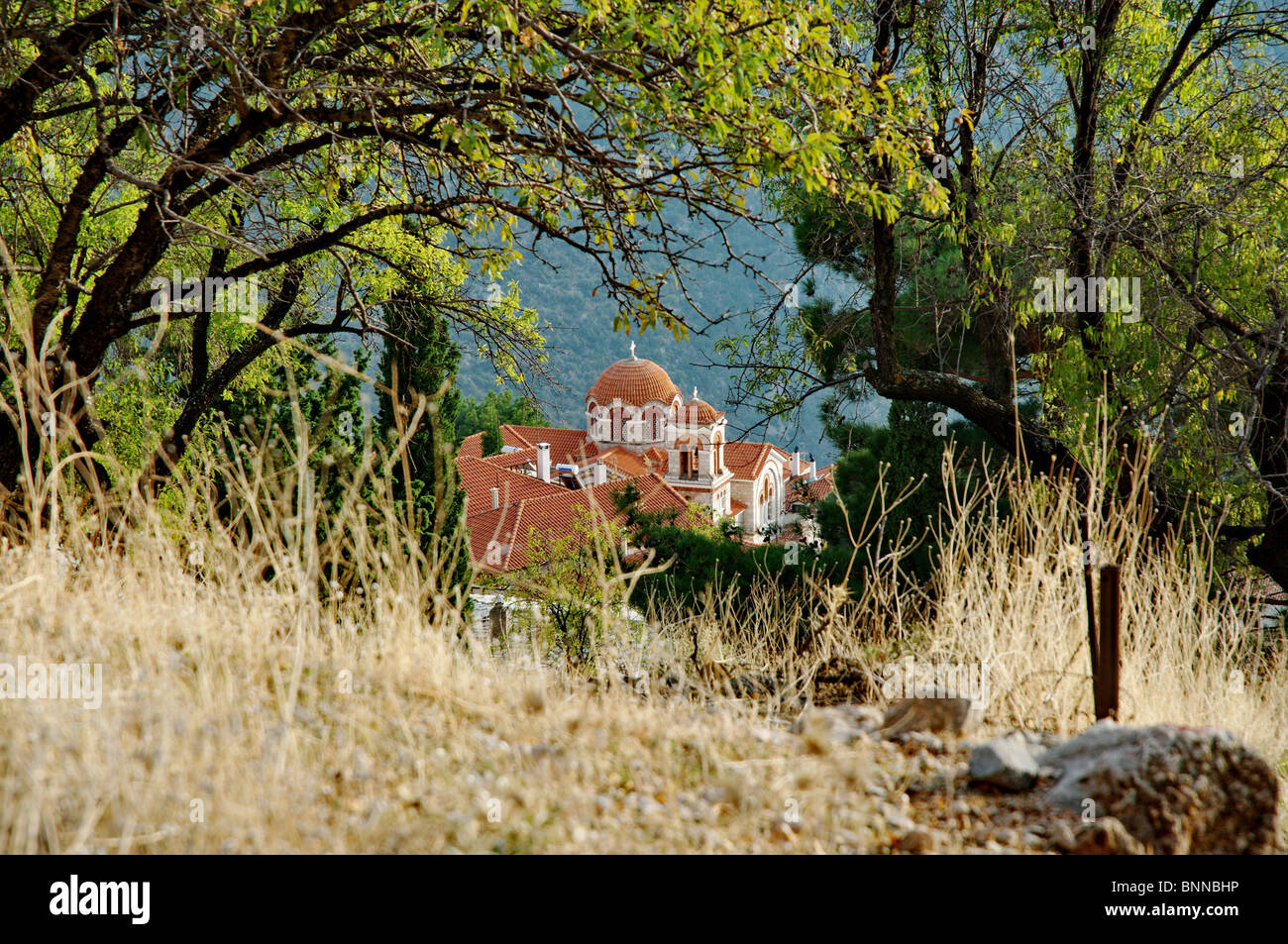 church church tower Delfi orthodox Greek orthodox Greece Greek religion Stock Photo