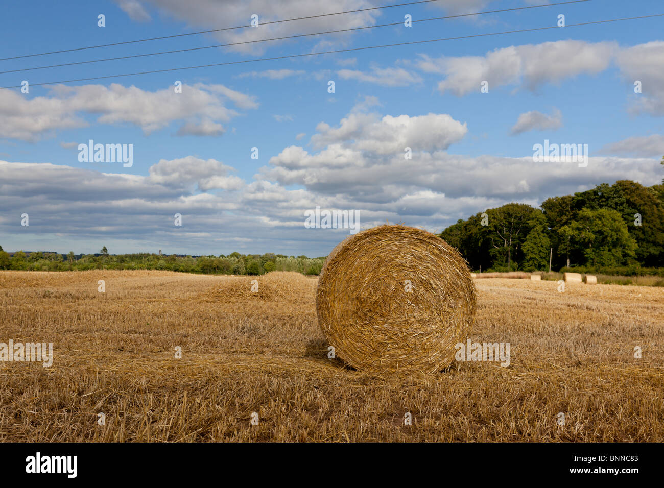 A round hay bale in a newly harvested farmers field Stock Photo - Alamy
