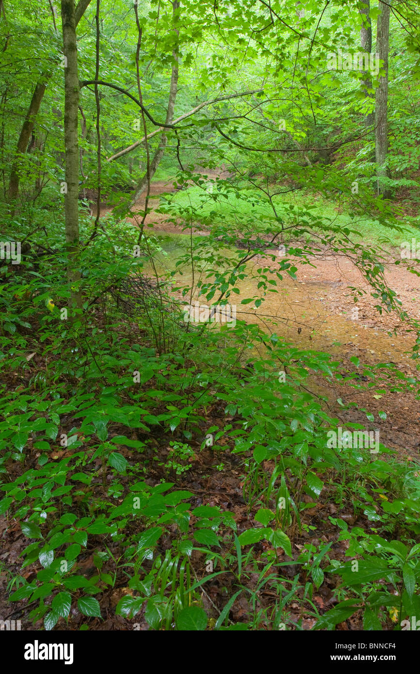 Knobstone trail hires stock photography and images Alamy