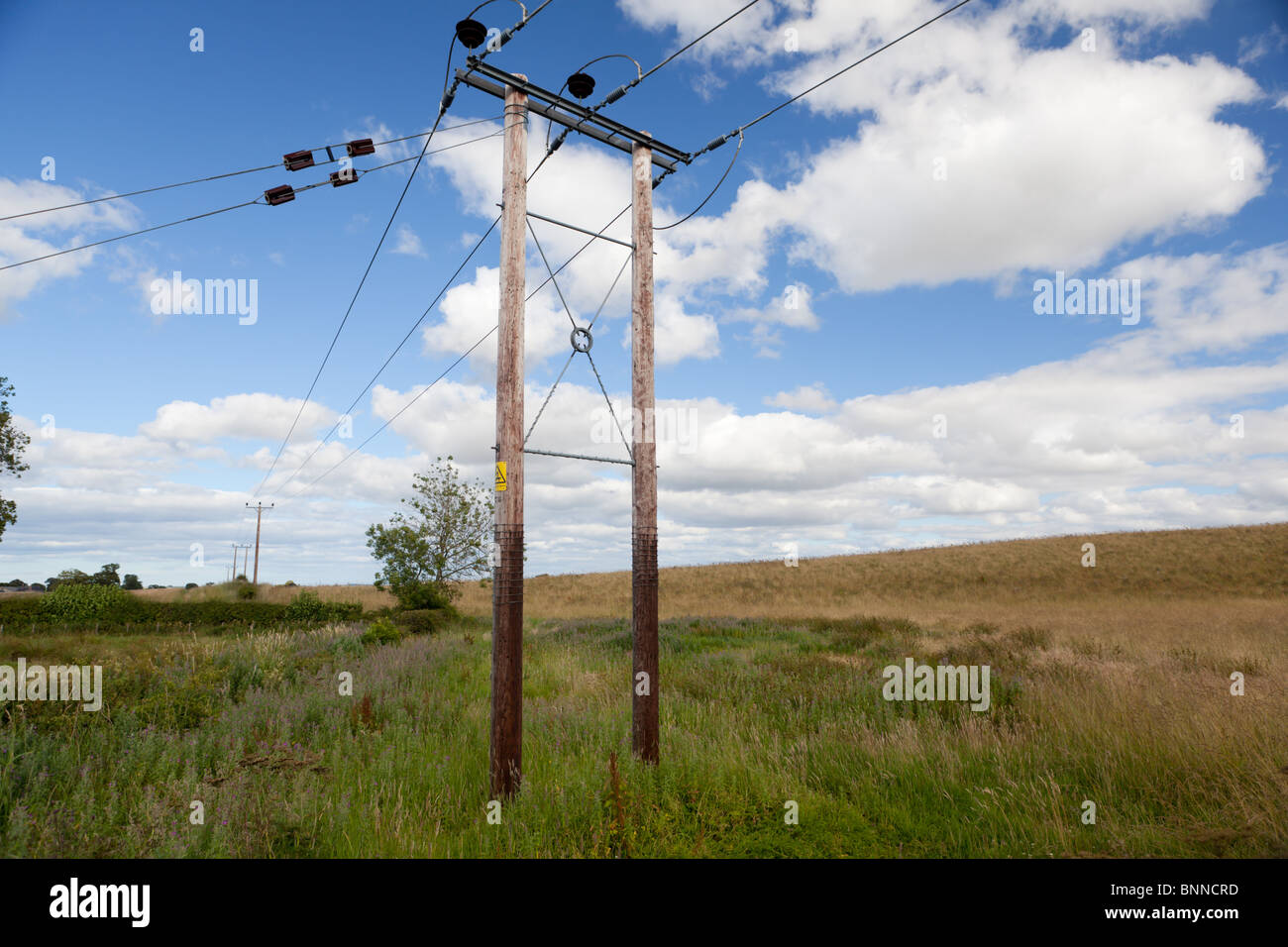 A wooden telegraph pole in a farmers field Stock Photo