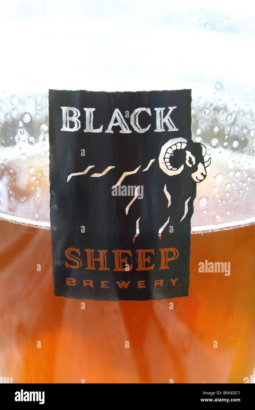 Black Sheep Brewery logo on a pint of beer Stock Photo