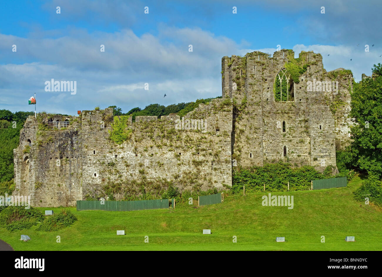 Oystermouth Castle at Mumbles on the Gower Stock Photo