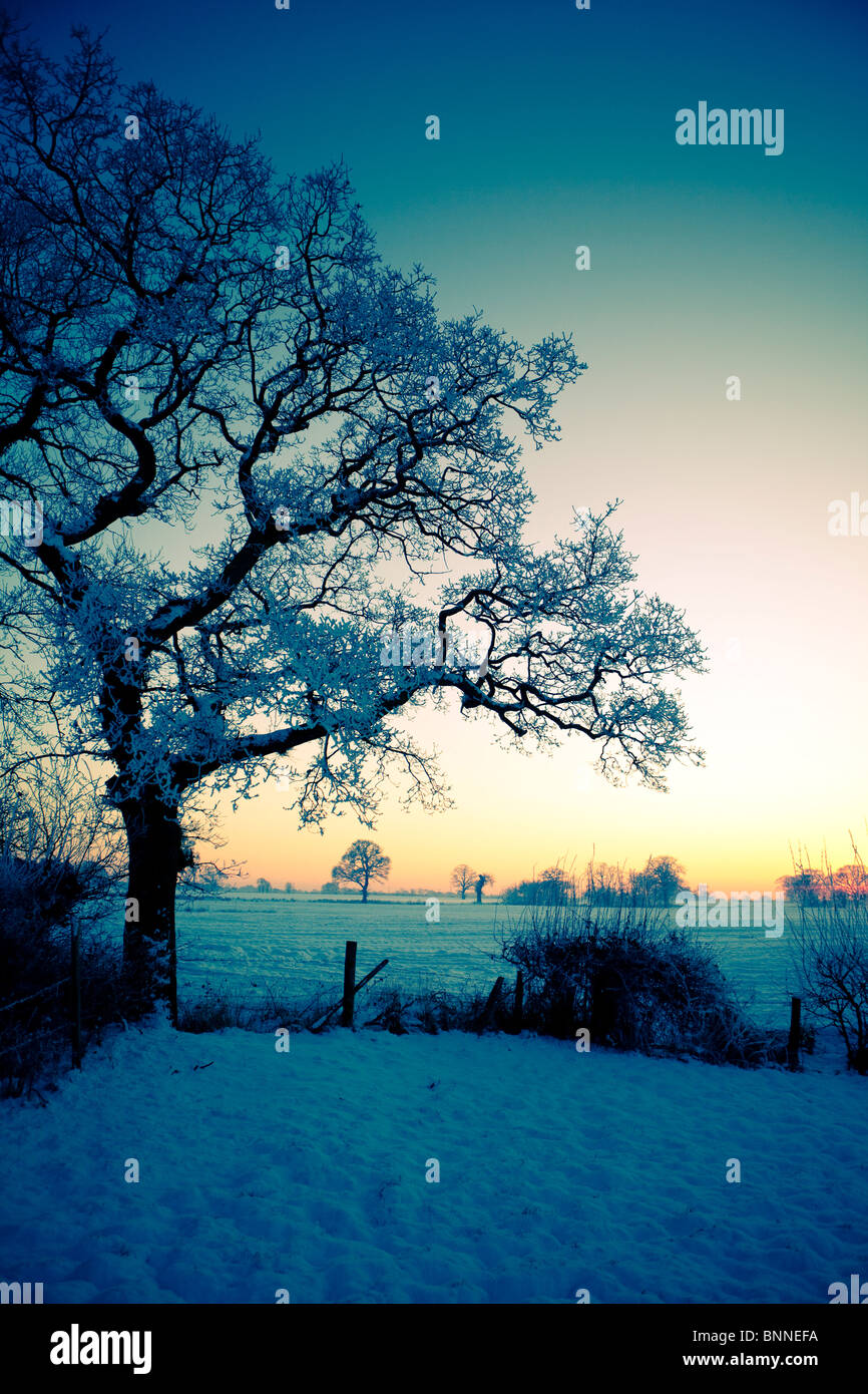 Christmas in England Smallwood Cheshire landscape with trees and fields abstract colourful colorful views Stock Photo