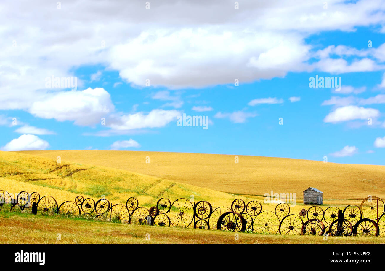 Horizontal landscape of wheat fields and Old Wagon Wheel fence under puffy clouds and blue sky Stock Photo