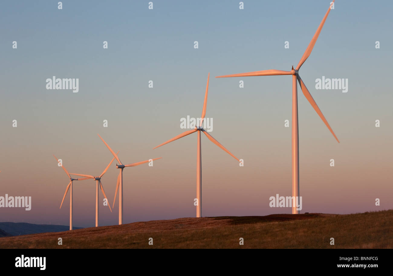 Wind farm, native flora, Stock Photo