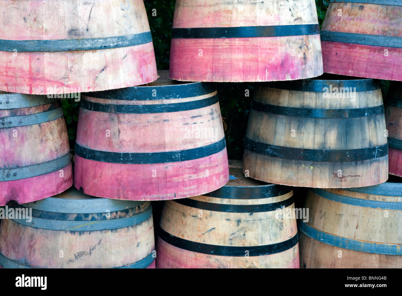 Colored barrels. Napa Valley, California Stock Photo