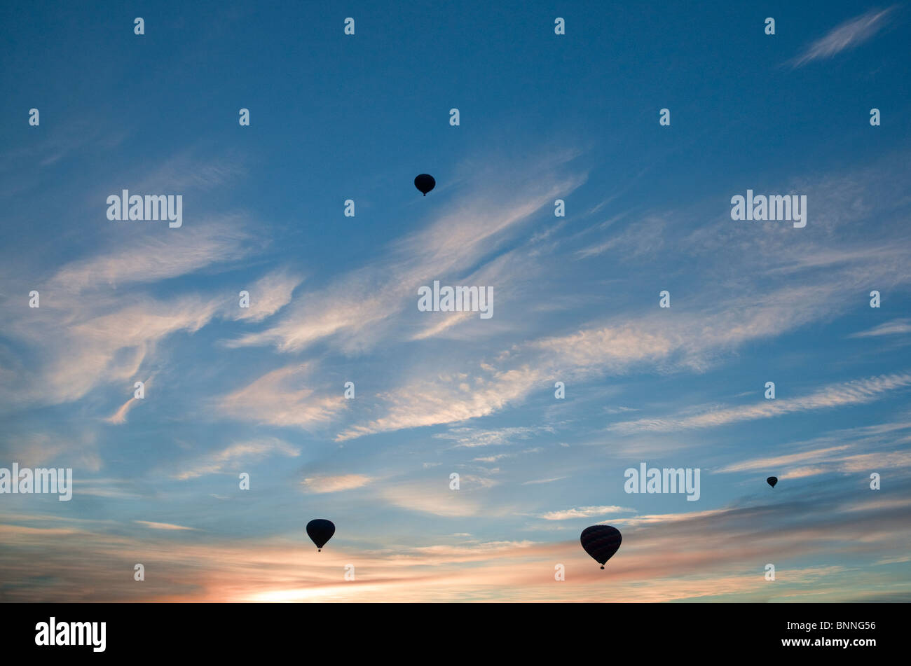 Hot air balloons over fall colored vineyards. Napa Valley, California Stock Photo