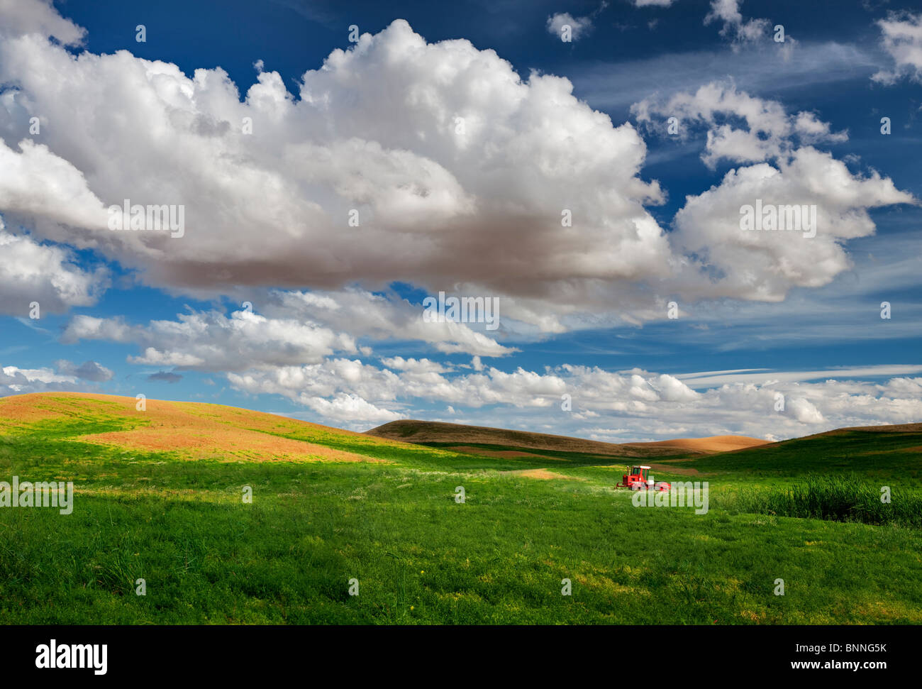 Lentil bean field and tractor. The Palouse, Washington Stock Photo